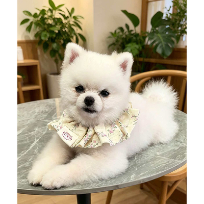 White dog lying on a round table wearing Purple Floral ruffled Pet Neckwear.