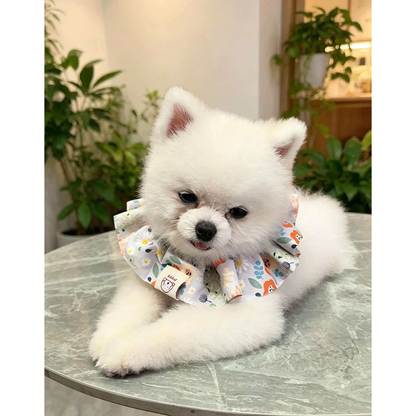 White dog lying on a round table wearing Gray Blue floral ruffled pet neckwear.