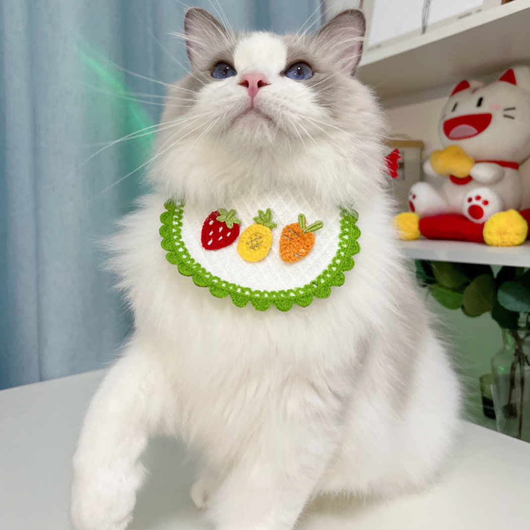 White and gray cat wearing Green Fruit Pet Neckwear with a scalloped edge.