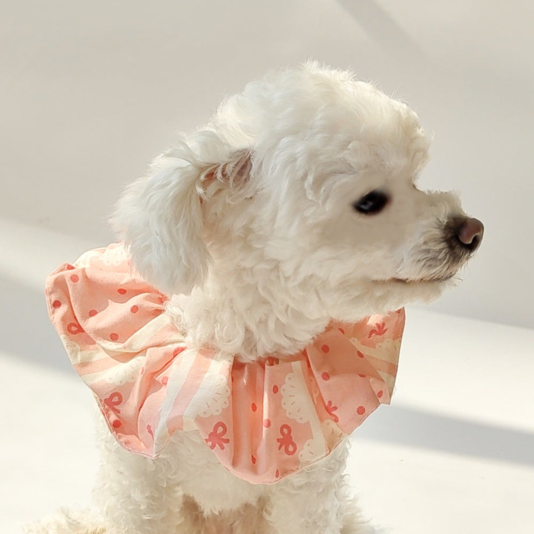 White dog wearing pink Bow Pet Neckwear with a gathered ruffle around the neck.