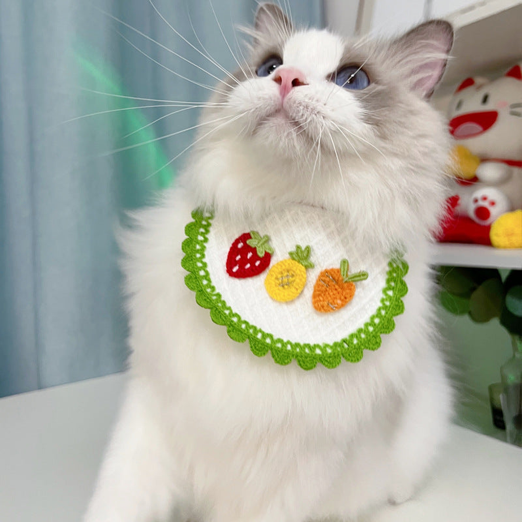 Cat wearing Green Edge pet neckwear with fruit motifs, viewed from a slight side angle.