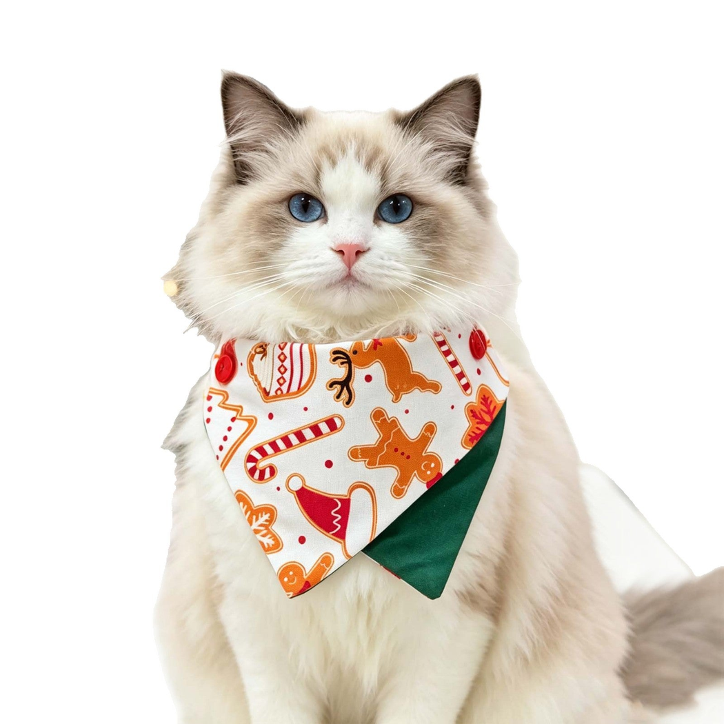 Cat wearing a Christmas-patterned pet bandana, front view