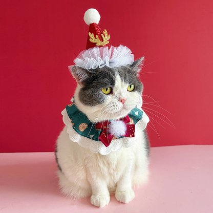 Cat wearing teal Christmas pet neckwear with a burgundy bow and white pom-pom