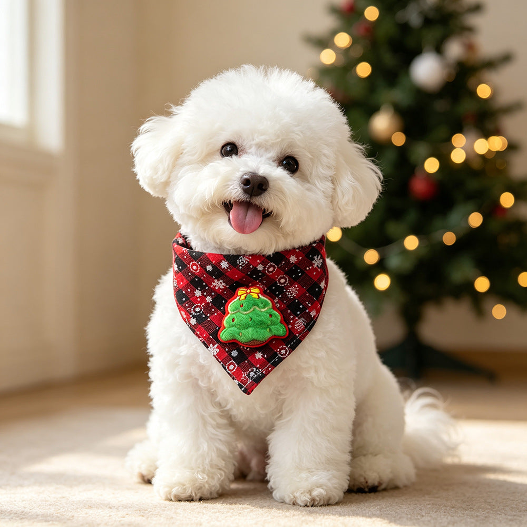 Small white dog wearing red plaid pet neckwear with a Christmas-tree applique