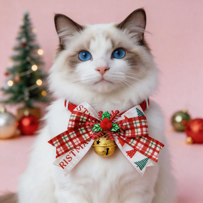 Cat wearing the Red Plaid pet collar with a layered bow and bell