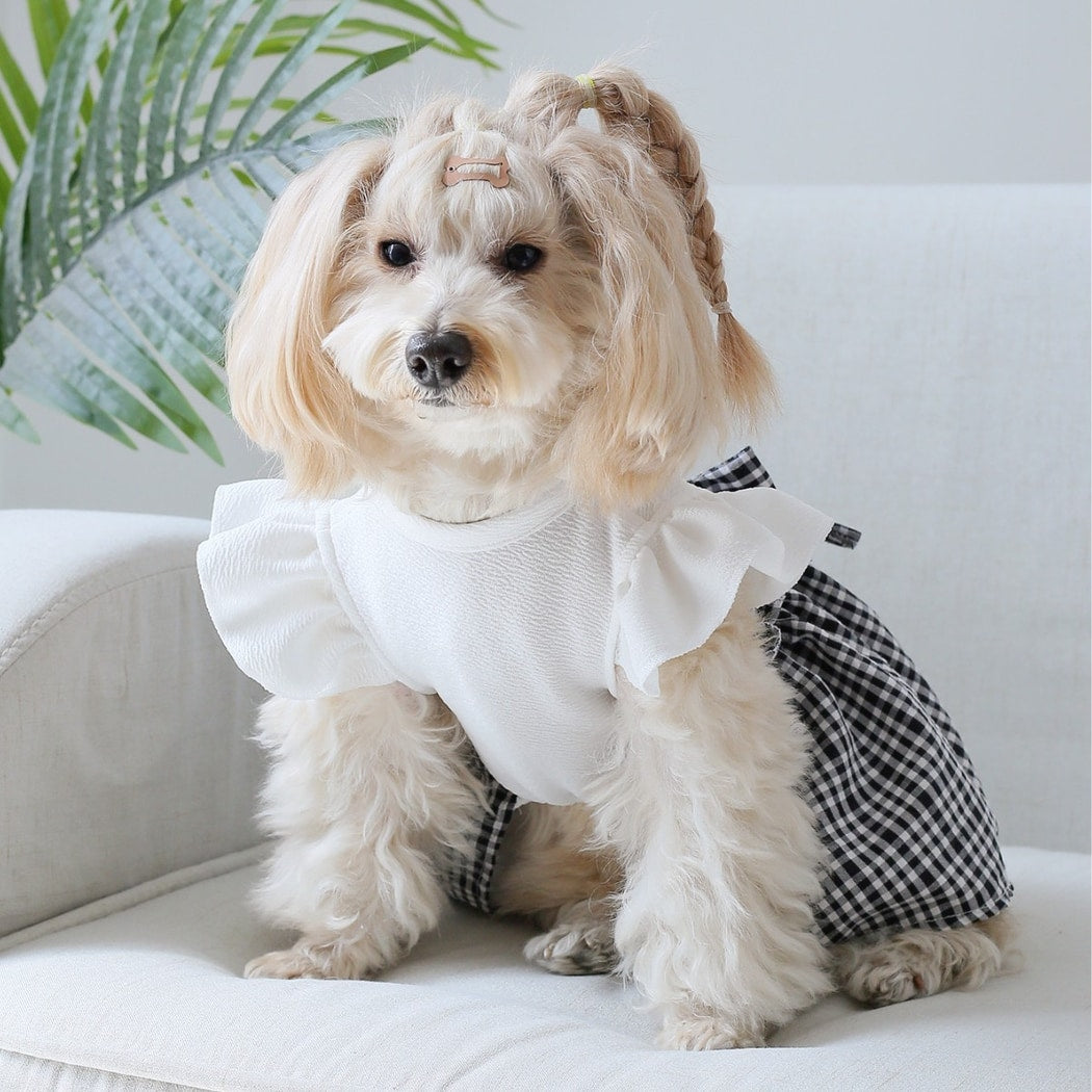 Ozzie - Flutter Sleeve Gingham Pet Clothing Dress