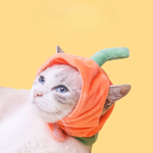 Ozzie - Persimmon Purrfection Cat Costume Hat