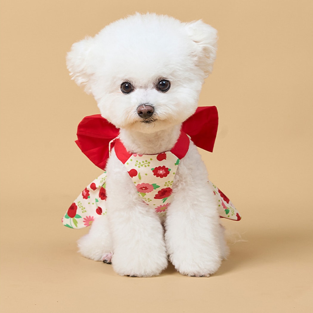 Ozzie - Flower Print Bow Pet Dress