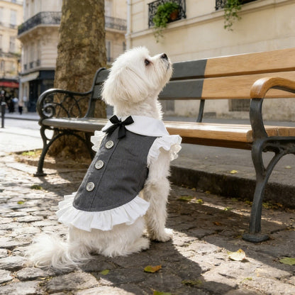 Ozzie - Layered Hem Dress Style Pet Clothing