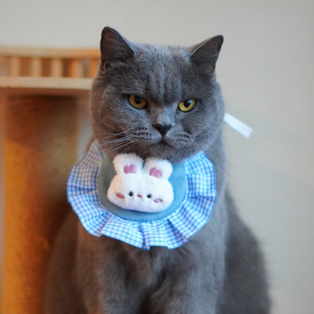 Mokka Bunny Plush Cat Neck Bib worn by a cat, highlighting fit and comfort