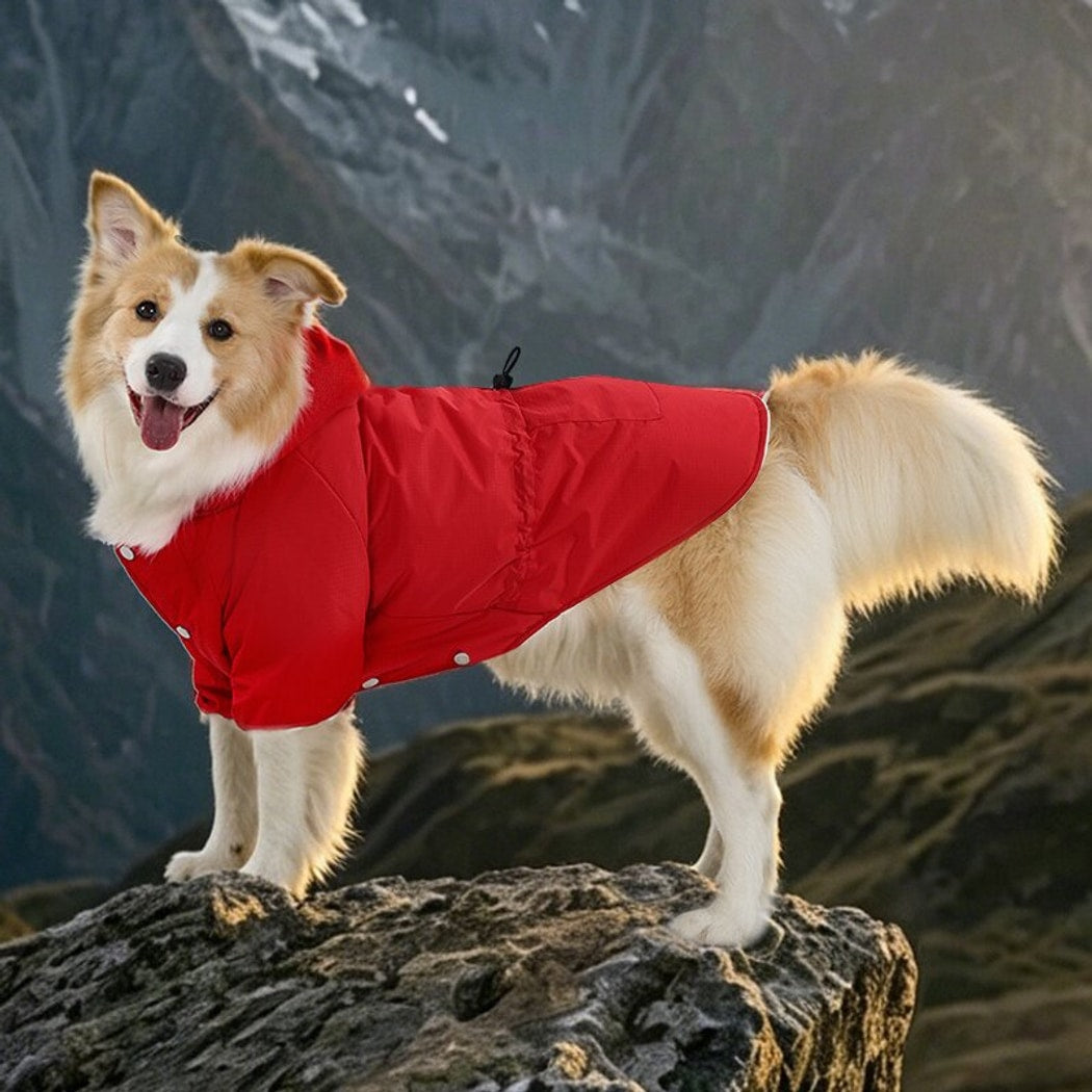 Ozzie - Sports Style Outdoor Walking Dog Jacket