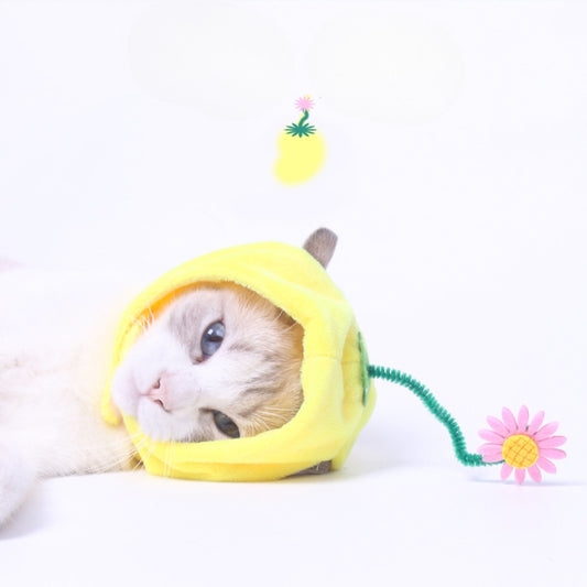 Ozzie - Fruit-Shaped Pet Hat