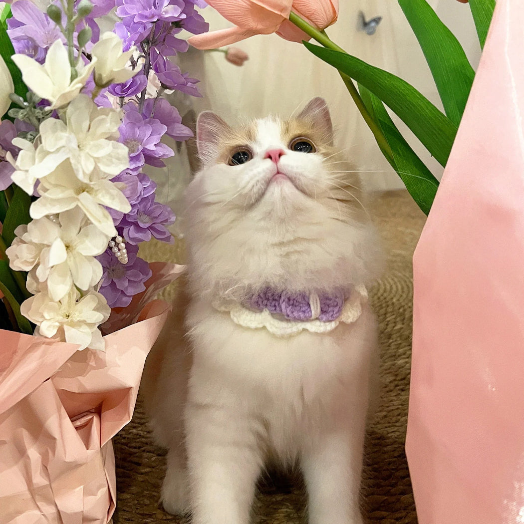 Mokka - Soft Scalloped Crochet Cat Collar