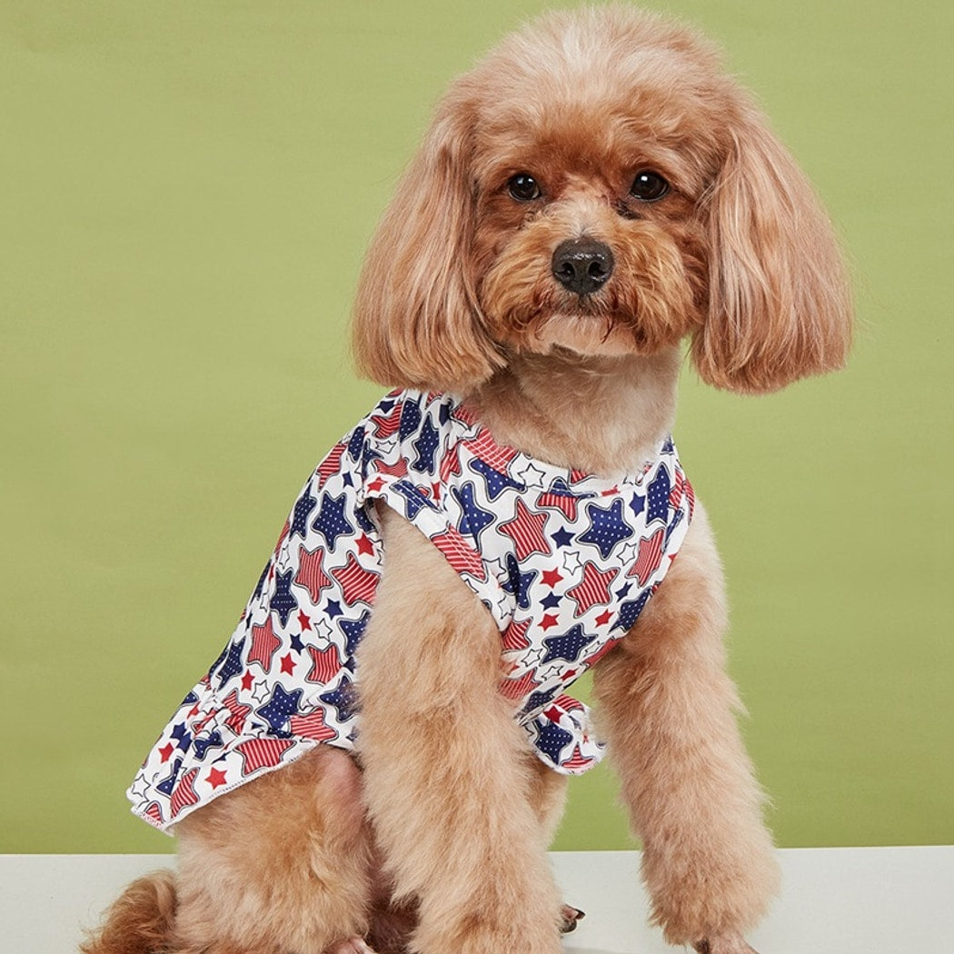Ozzie - Ruffle Colorful Party Print Pet Dress
