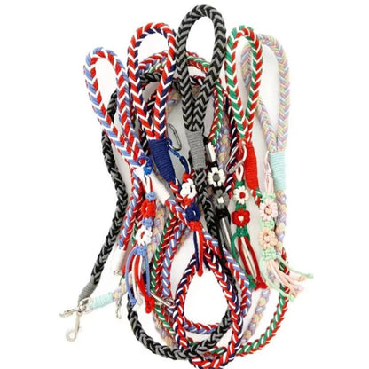 Loofie - 59in Pastel Braided Dog Leash