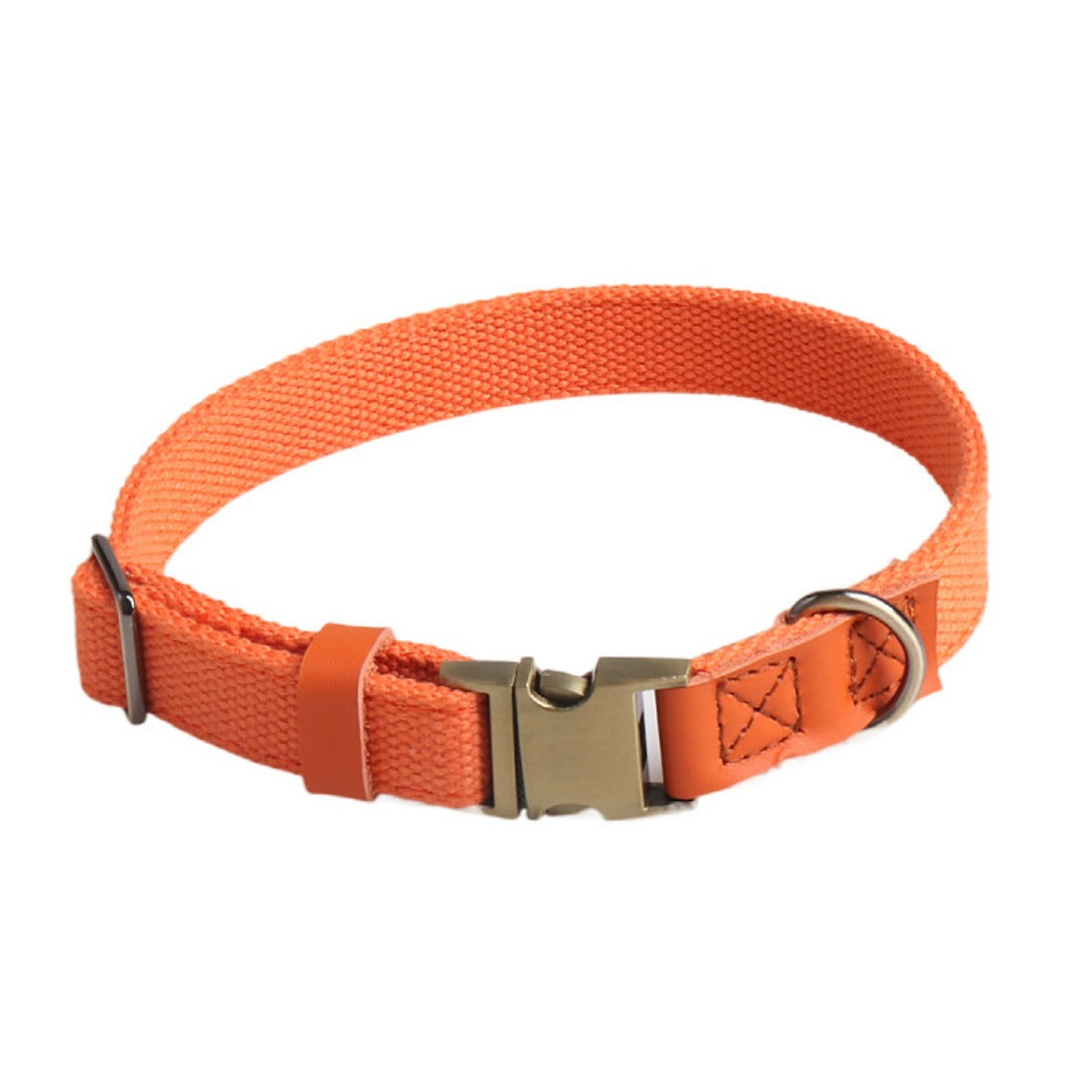 Loofie - Durable Nylon Dog Collar with Metal Buckle