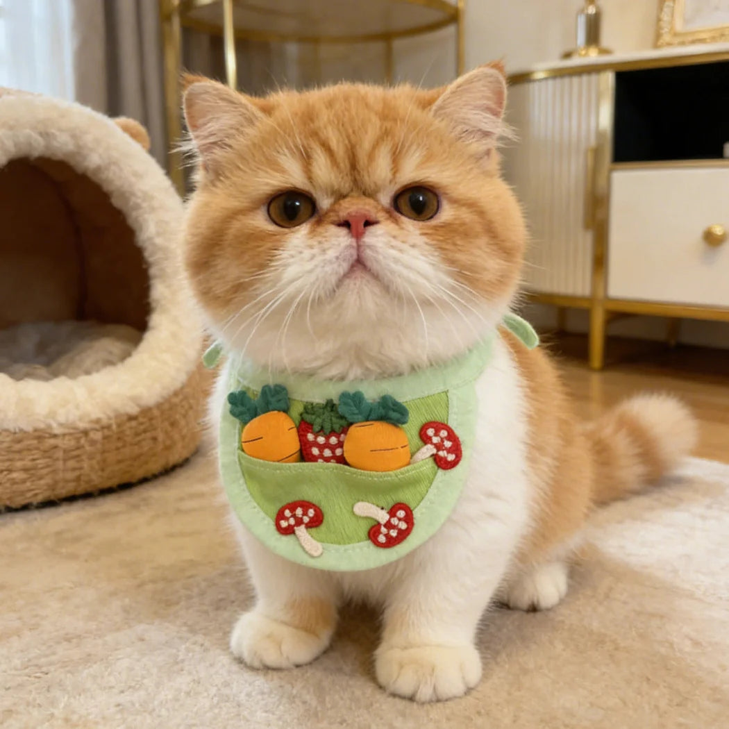Mokka - Vegetable Pocket Bib Pet Collar