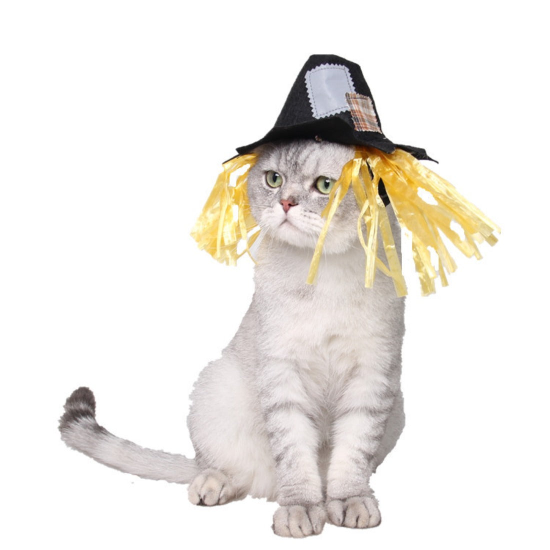 Halloweek - Scarecrow Pet Hat