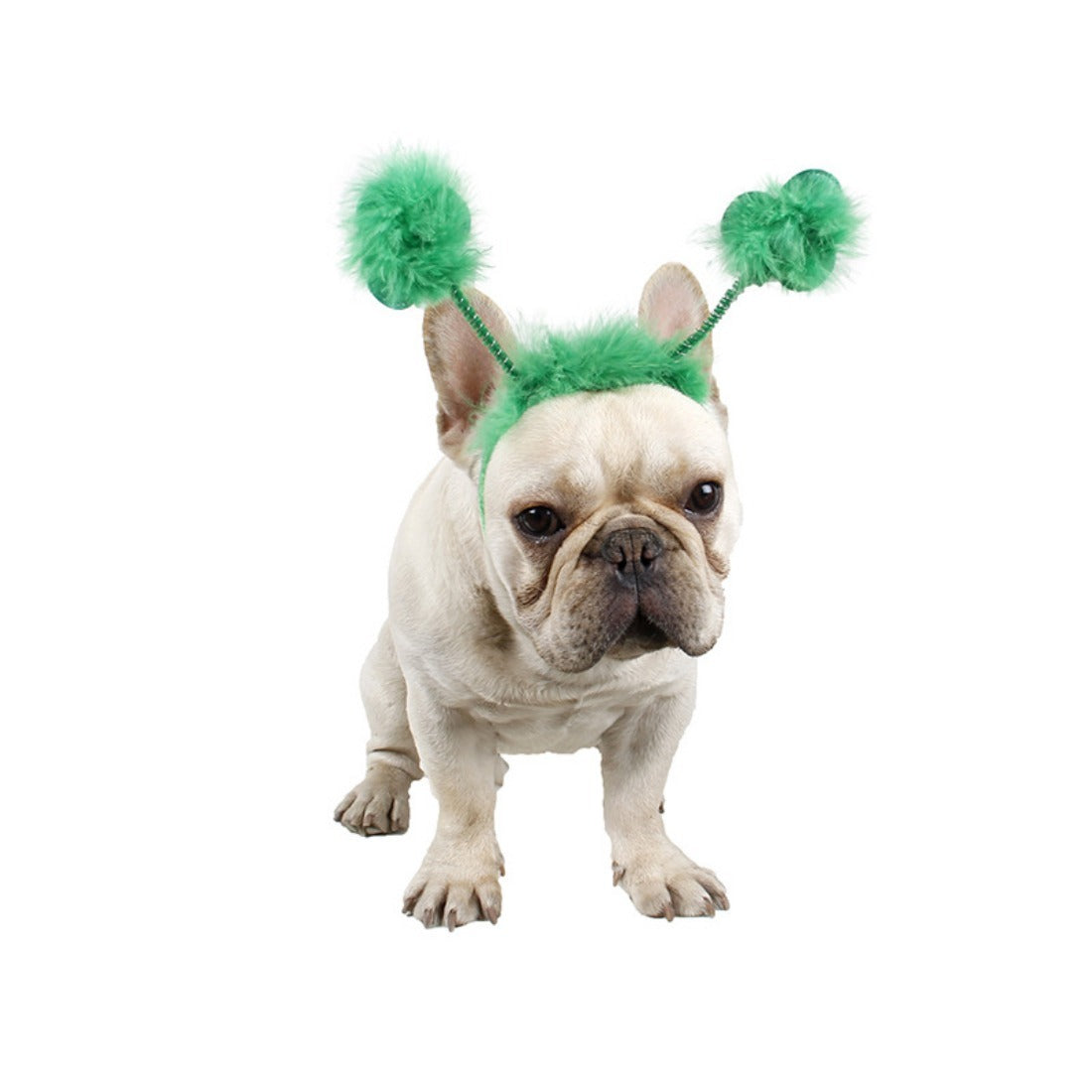 Ozzie - Clover Pet Headband