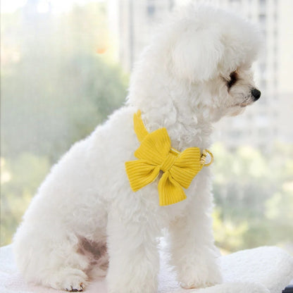 Loofie - Colorful Ribbed Bow Pet Collar