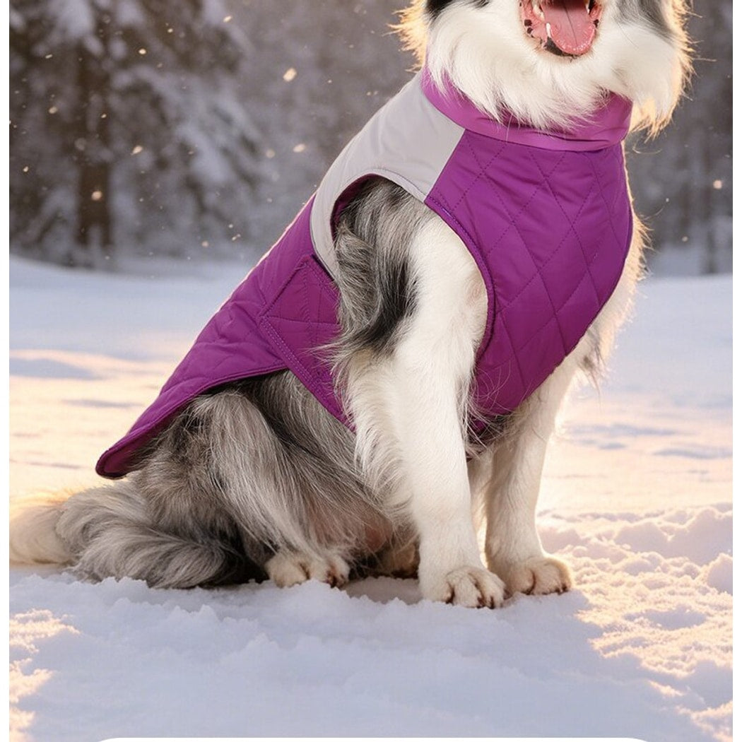 Ozzie - Casual Quilted Autumn Winter Dog Vest