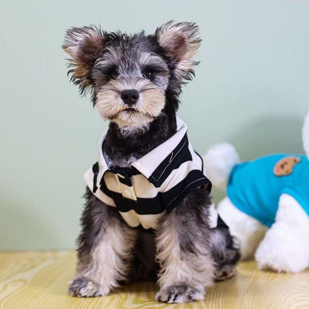 Ozzie - Modern Striped Pet Polo Shirt T-Shirt
