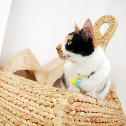 Mokka - Knit Design Colorful Adjustable Collar