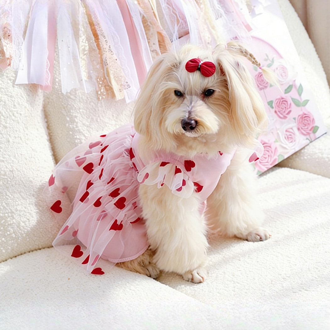 Ozzie - Casual Heart Print Dog and Cat Pet Dress
