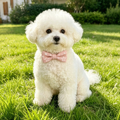 Mokka - Adjustable Bow Tie Star Pattern Pet Collar