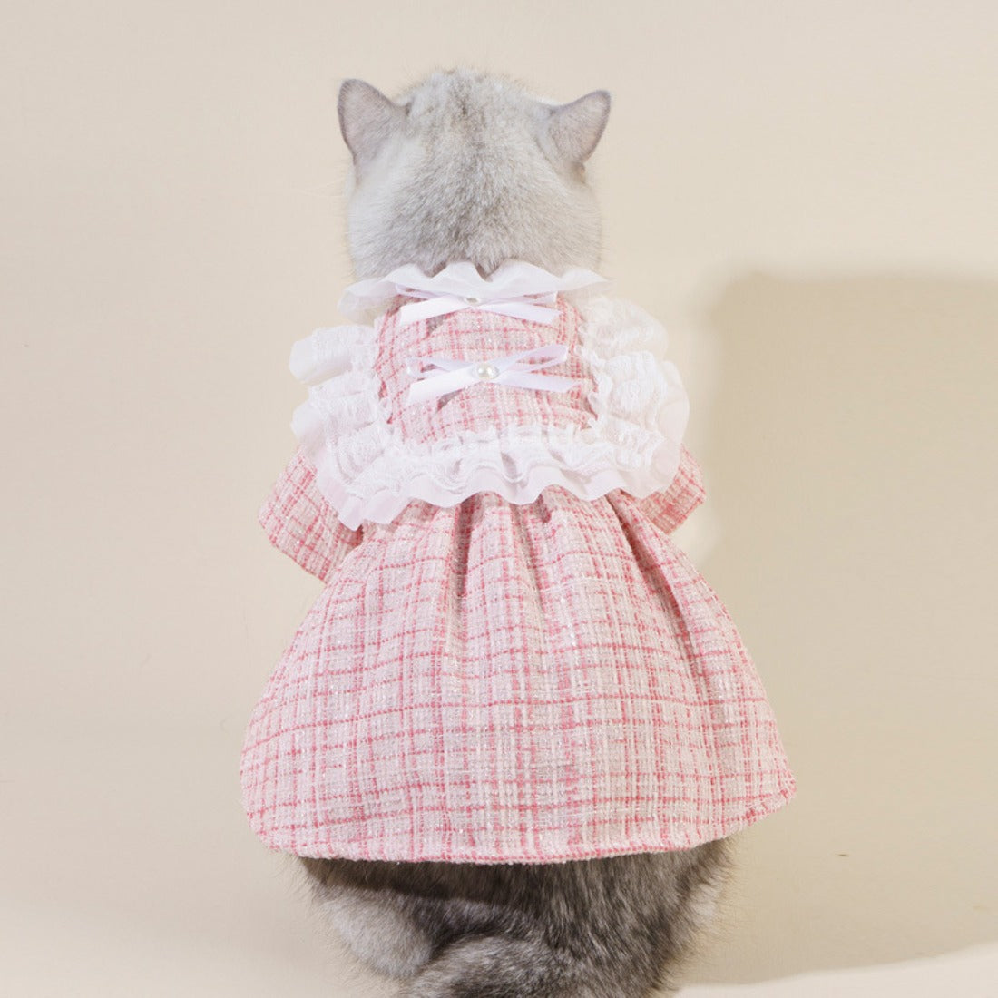 Close-up of bow detail and buttons on Ozzie Bow Tweed Cat Top