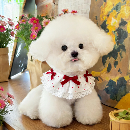 Mokka - Bow Lace Bib Pet Neckwear