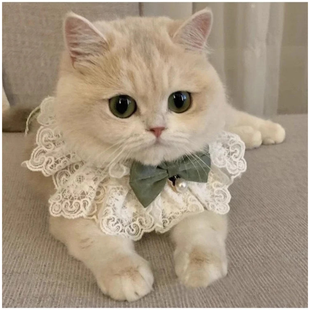 Mokka - Ruffled Bow Bib Pet Neckwear