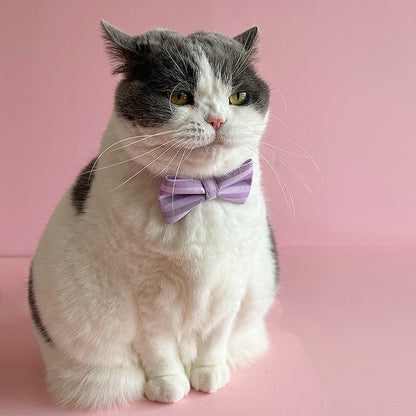 Mokka - British Style Striped Bow Cat Collar
