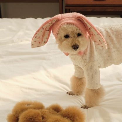 Ozzie pet hat shown with clear focus on its structure