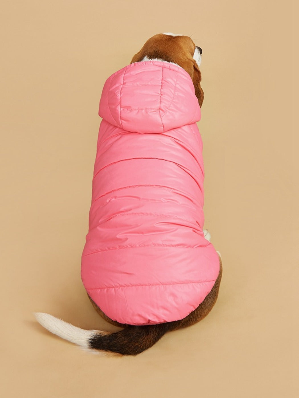 Ozzie – Puffer Hoodie Dog Coat