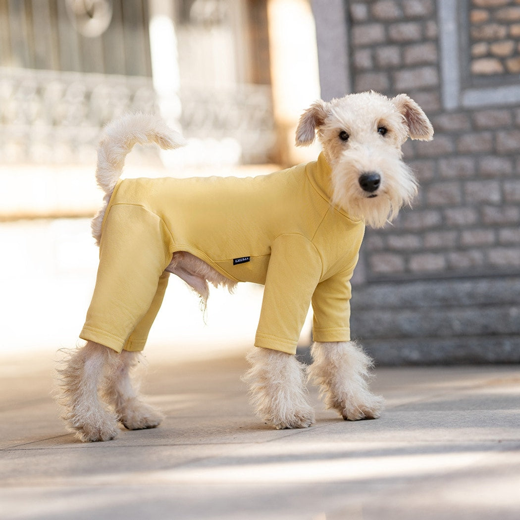 Ozzie - Solid Color Four-Leg Everyday Dog Onesie