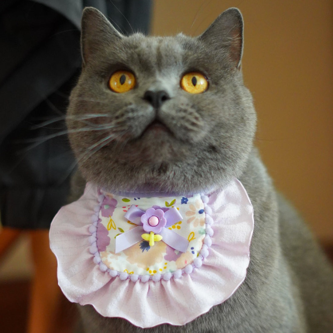 Mokka cat bib displayed flat highlighting the full floral pattern and bow shape