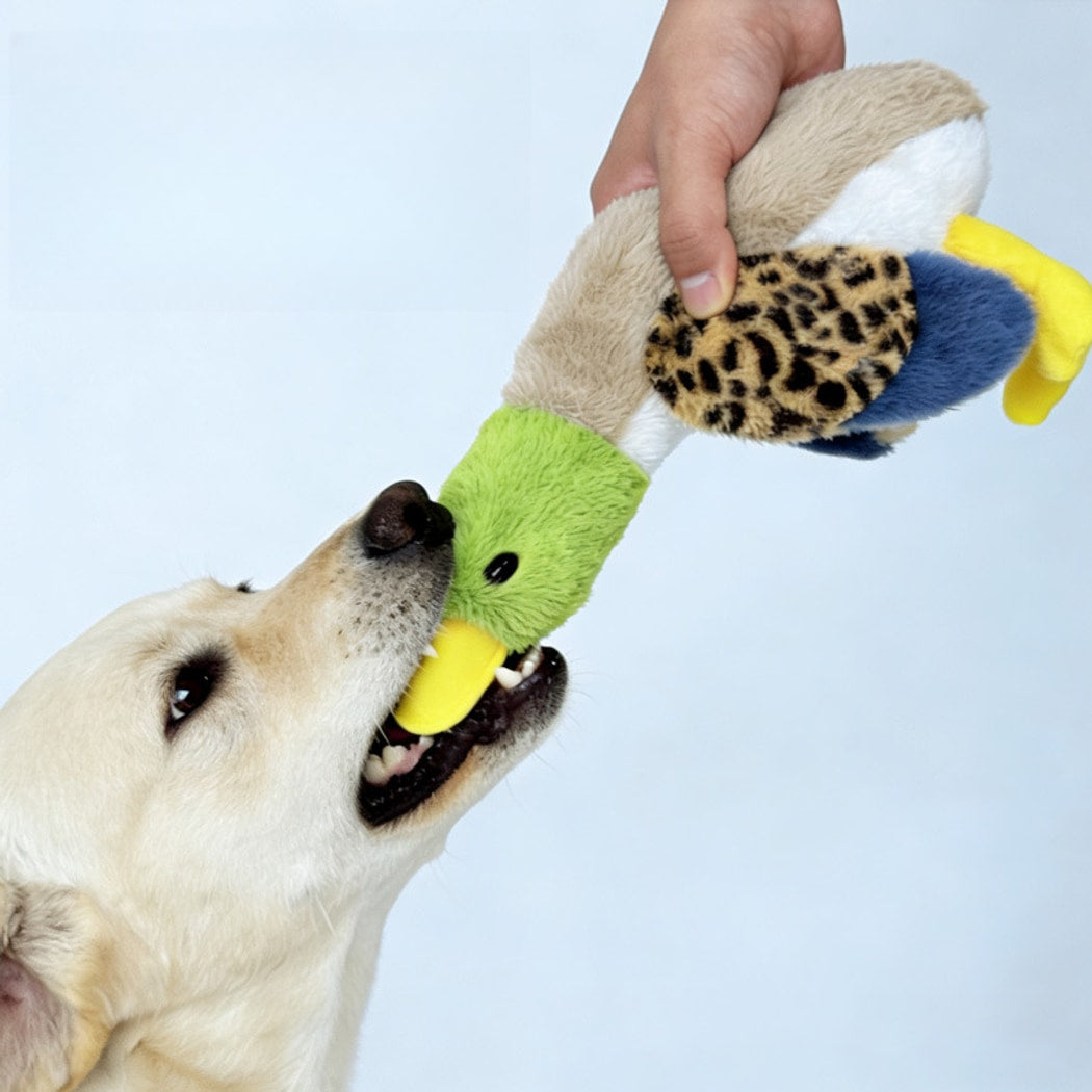 Petkin - Birds Shape Plush Squeaky Dog Toy