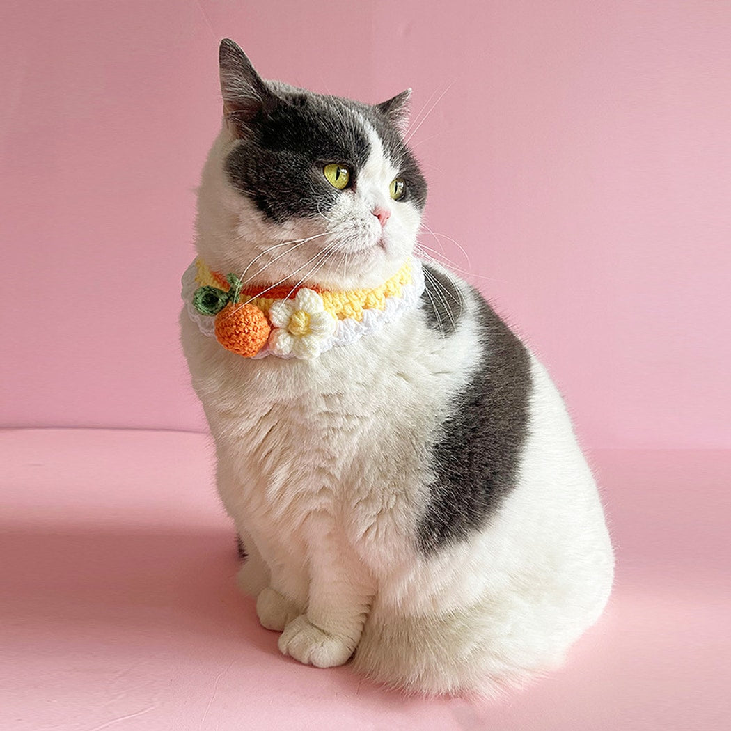 Mokka - Scalloped Floral Tie-On Princess Cat Collar