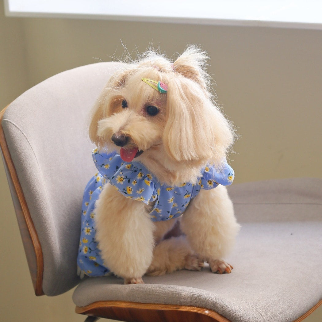Ozzie - Blue Floral Ruffle Pet Dress