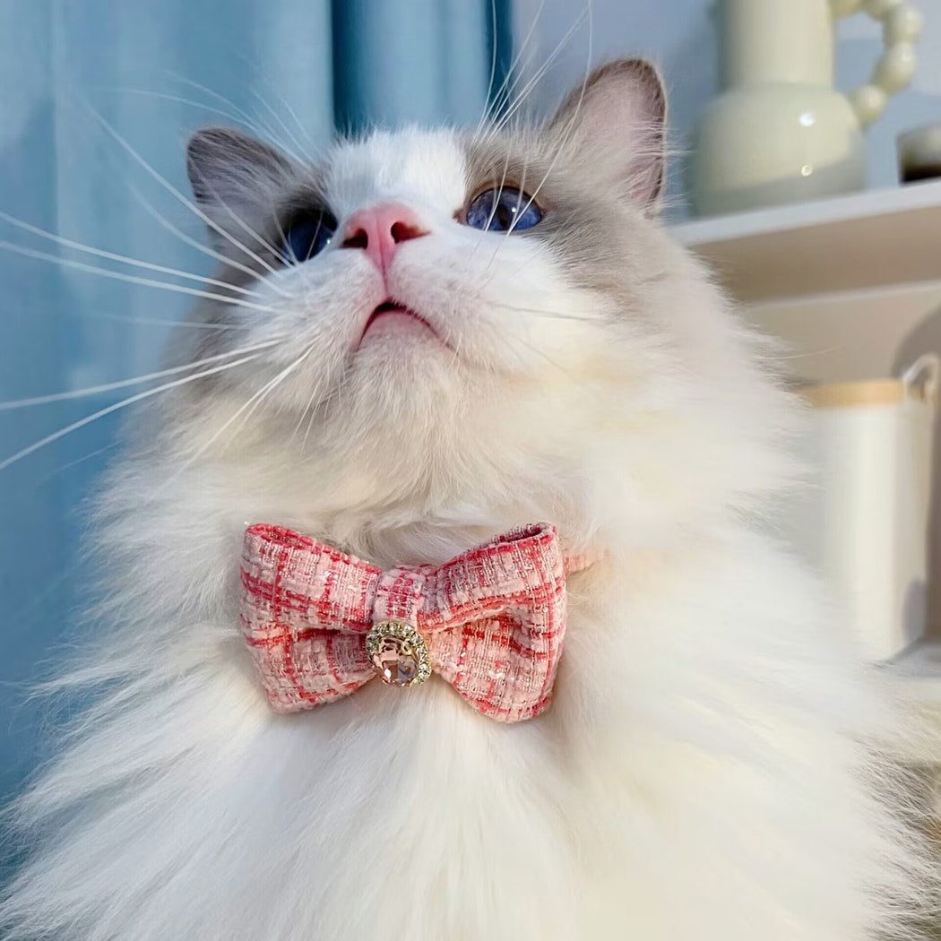 Mokka - Princess Style Plaid Bowknot Cat Collar