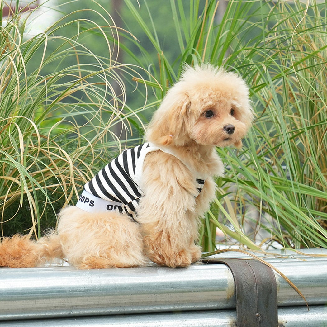 Ozzie - Spring Summer Striped Pet Tank Top Vest