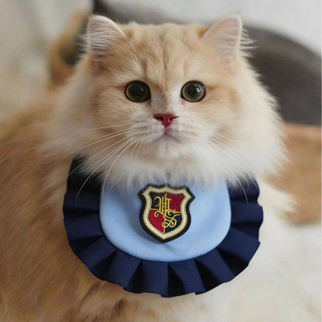 Close-up of Mokka Academy Badge Cat Bib showing detailed embroidery on soft fabric