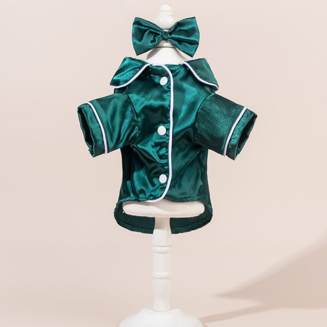 Front view of a dog dressed in a satin shirt with a bow on the back