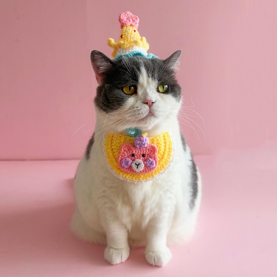 Mokka - Bear Pattern Pet Birthday Bib and Hat Set