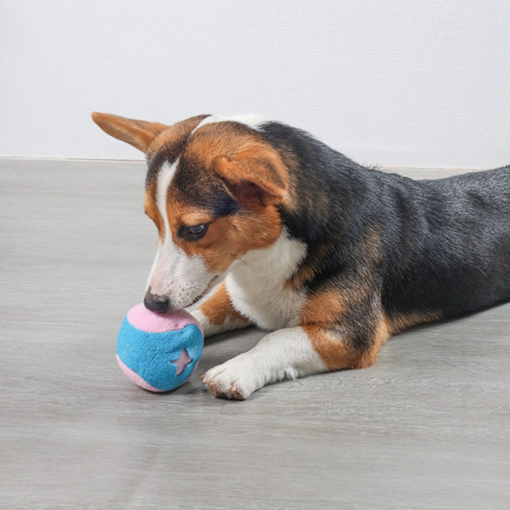 Snuffy - Interactive Snuffle Mat Toy