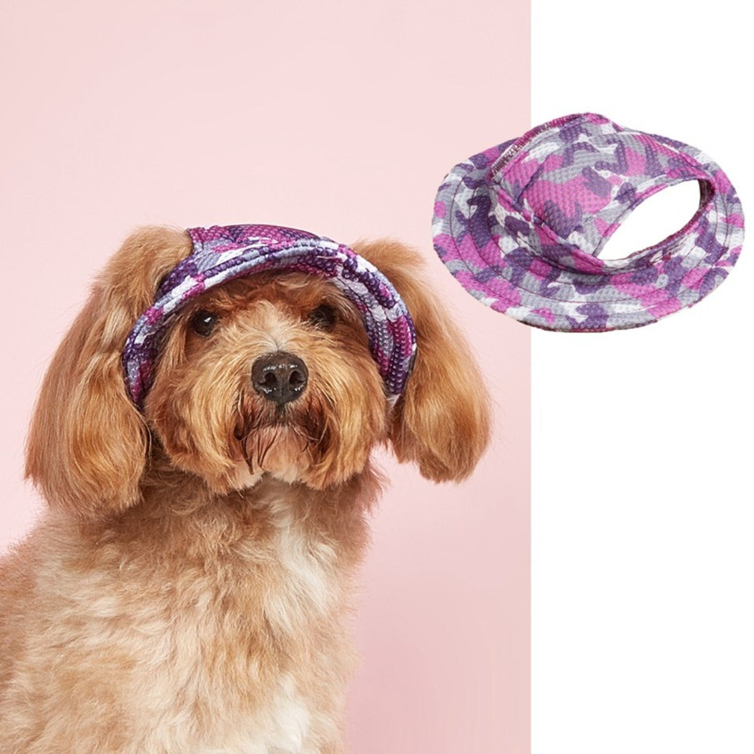 Side view of dog wearing Ozzie mesh visor cap with breathable design