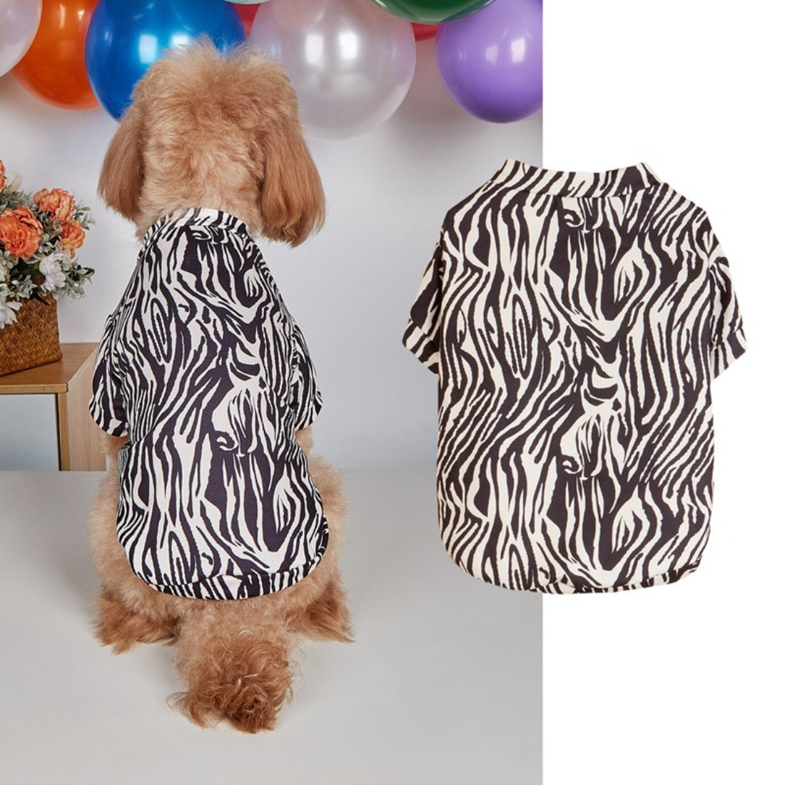 Ozzie zebra print dog t-shirt laid flat showing front and sleeves