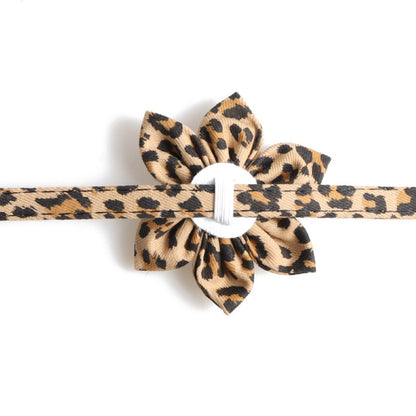 Mokka Leopard Flower Breakaway Cat Collar arranged in a circle highlighting design details