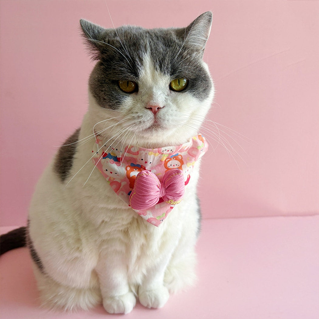 Mokka - Candy Color Bow Cat Bandana Collar